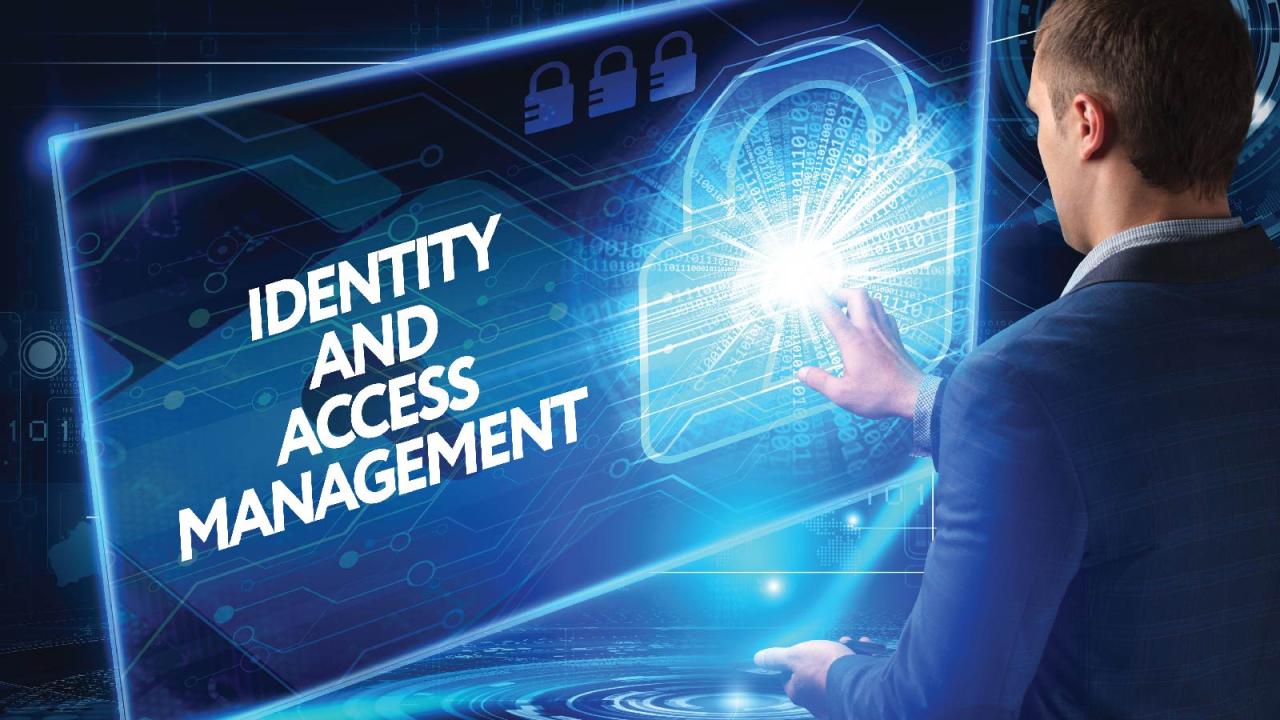 Iam identity management access definition