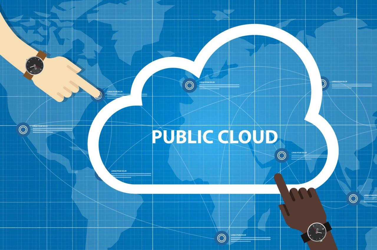 Public cloud